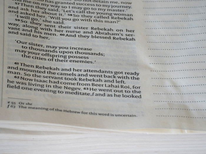 Cerrahpaşa'da İngilizce Hazırlık Programı