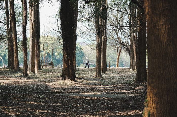 12. Sınıf İngilizce Öğretmen Kitabı